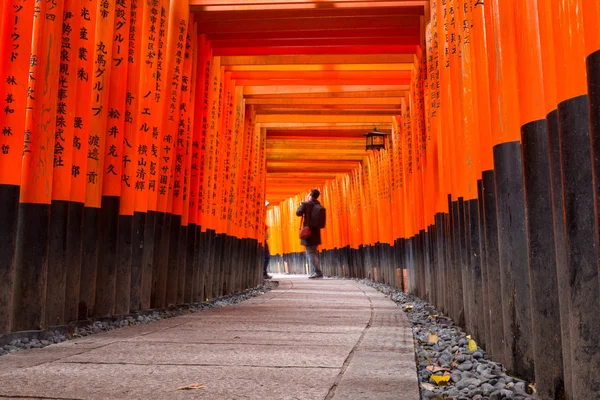 A torii kapuk a Fushimi Inari szentély Abelar, Kyoto, több ezer — Stock Fotó