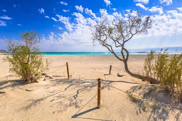 Plaża Elafonissi z różowy piasek na Krecie — Zdjęcie stockowe