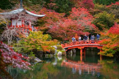 Sonbaharda renkli akçaağaç ağaçları olan Daigo-ji Tapınağı, Kyoto, Japonya