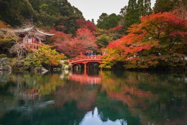 Sonbaharda renkli akçaağaç ağaçları olan Daigo-ji Tapınağı, Kyoto, Japonya