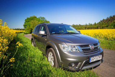 Fiat Freemont Suv çiçeği alan Polonya