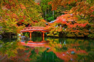 Recai-ji Tapınağı ile renkli akçaağaç Kyoto