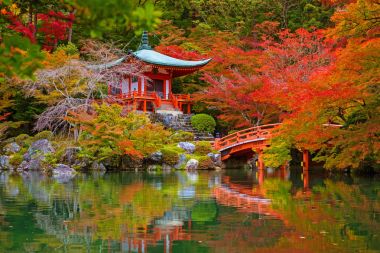 Recai-ji Tapınağı ile renkli akçaağaç Kyoto