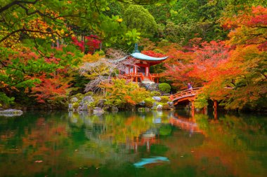 Recai-ji Tapınağı ile renkli akçaağaç Kyoto