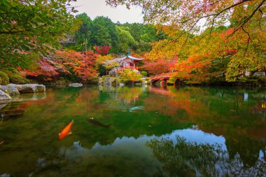Recai-ji Tapınağı ile renkli akçaağaç Kyoto