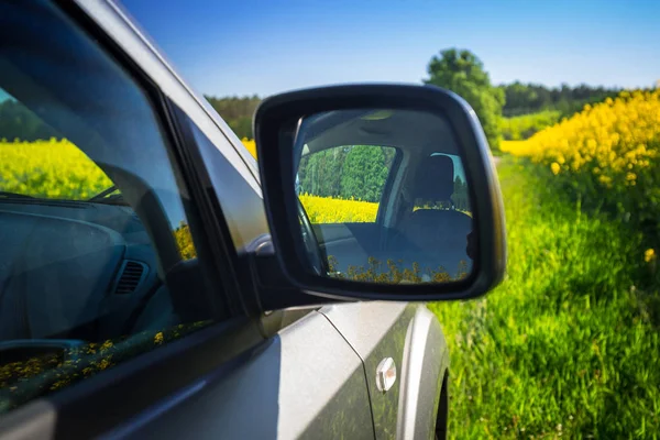 Дорога через желтое рапсовое поле — стоковое фото
