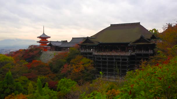 Templo budista Kiyomizu-Dera en Kioto durante la temporada de otoño — Vídeo de stock