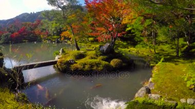 Sonbahar göle Arashiyama tenryu-ji Tapınağı