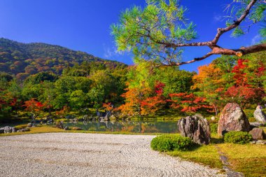 Sonbahar göle Arashiyama tenryu-ji Tapınağı