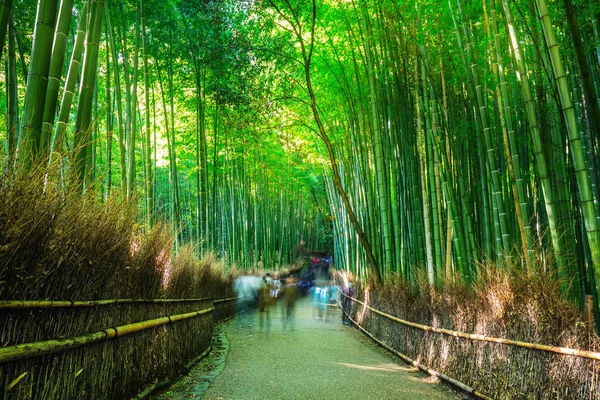 Bambuswald von Arashiyama in der Nähe von Kyoto — Stockfoto