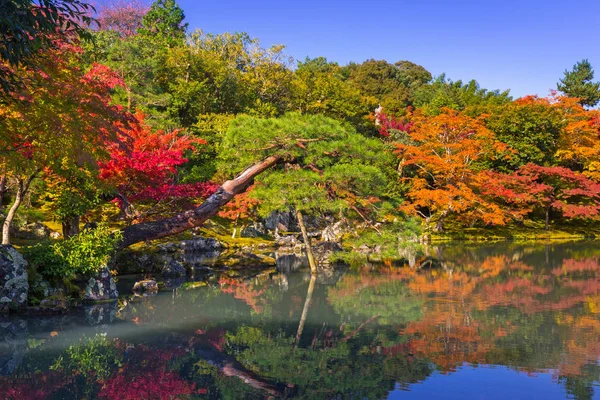 Jesień nad jeziorem tenryu-ji Rozciągacz w Arashiyama — Zdjęcie stockowe