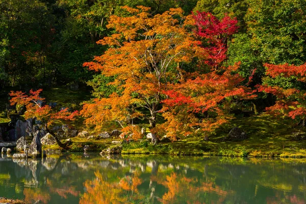 Herfst bij de poel van de tenryu-ji tempel in Shee — Stockfoto