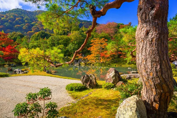 Autumnal forest at tenryu-ji temple in Arashiyama — Stock Photo, Image