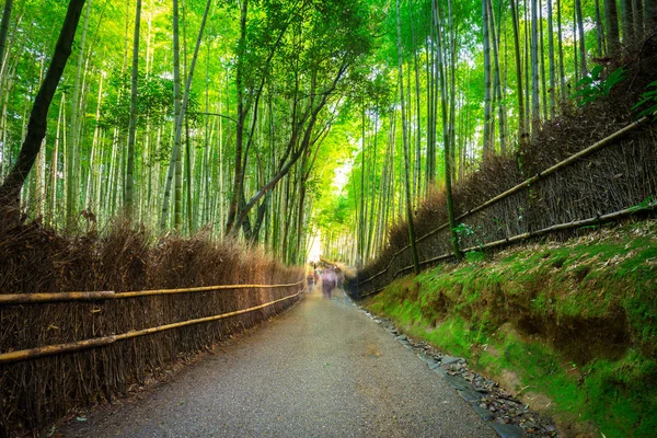 Bamboo forest Arashiyama poblíž Kyoto — Stock fotografie