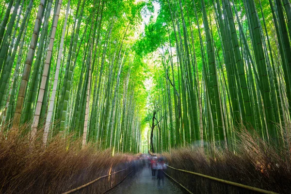 Μπαμπού δάσος της Arashiyama κοντά στο Κιότο — Φωτογραφία Αρχείου