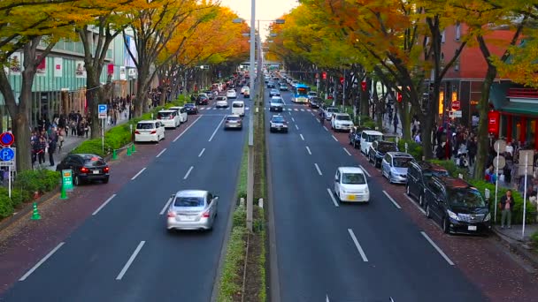 Αυτοκίνητα της κυκλοφορίας στην περιοχή Shibuya στο Τόκιο, Ιαπωνία — Αρχείο Βίντεο