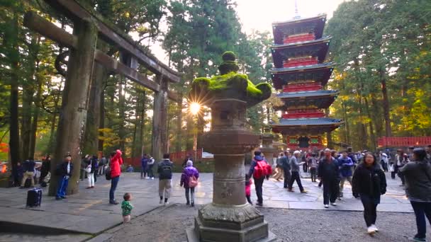 Tourists at Toshogu Shrine temple in Nikko, Japan — Stock Video