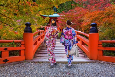 Kyoto, Japonya'nın yürüme geleneksel Japon kimono kadınlarda