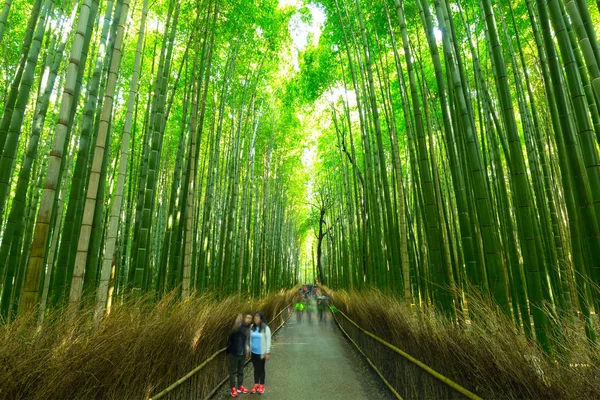 Bambuswald von Arashiyama in der Nähe von Kyoto — Stockfoto