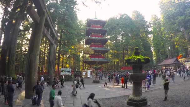 Timelapse di turisti al tempio di Sacrario di Toshogu in Nikko, Giappone — Video Stock