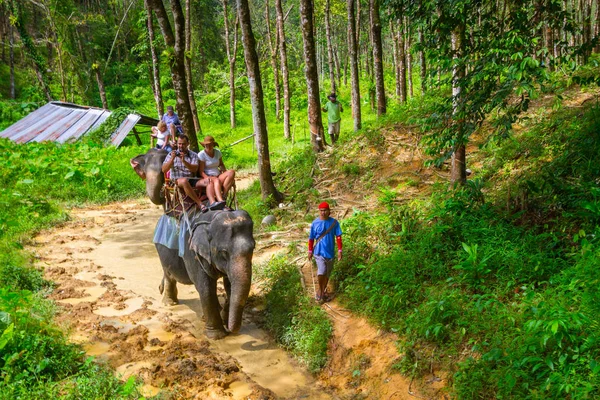 Na slonech v národním parku khao sok — Stock fotografie