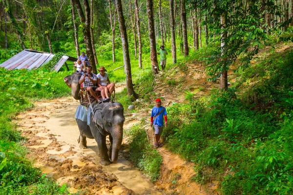 Caminhada de elefantes no Parque Nacional Khao Sok — Fotografia de Stock