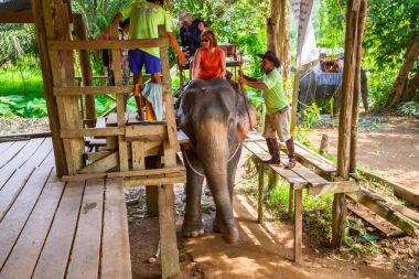 Khao sok milli parkta yürüyüş fil