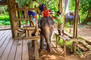 Elephant trekking in Khao Sok National Park clipart