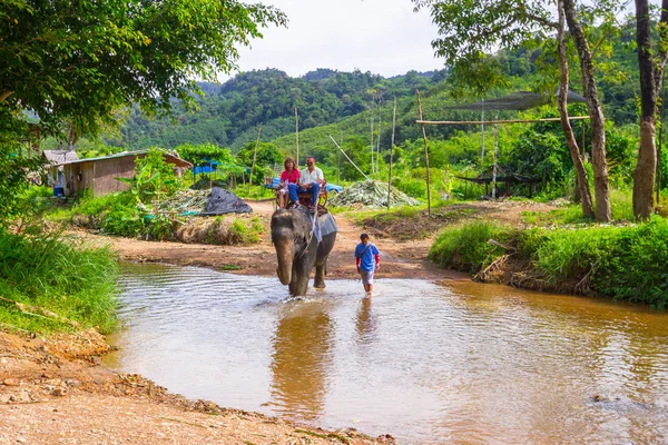Khao sok milli parkta yürüyüş fil — Stok fotoğraf