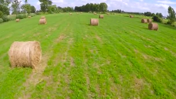 Fardos de heno en el campo — Vídeo de stock