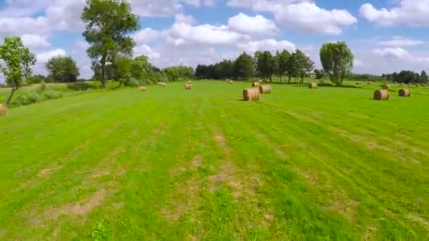 Тюки сіна на полі — стокове відео