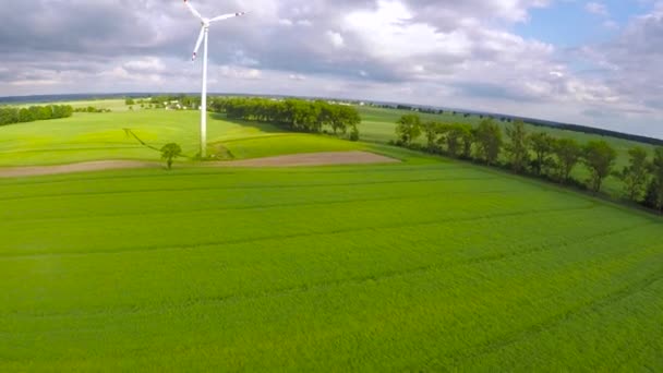 Letecký pohled na letní pole s větrné turbíny — Stock video