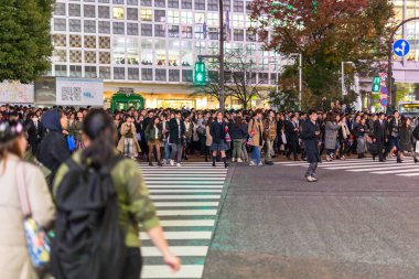 Tokyo Shibuya kapış geçerken geceleri, Japonya