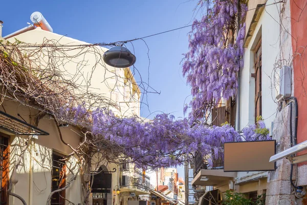 Fialové lila na ulici Chania — Stock fotografie
