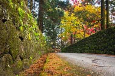 Sonbahar toplayan Nikko Milli Parkı