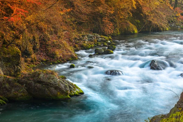 Eau cristalline du ruisseau de montagne à Nikko — Photo