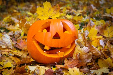 Funny halloween balkabağı