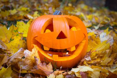 Funny halloween balkabağı