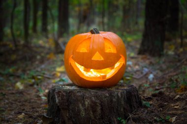 Cadılar bayramı balkabağı karanlıkta parlıyor