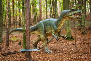 Gerçekçi dinozor modeli Jurassic Park, Gdansk Oliwa içinde