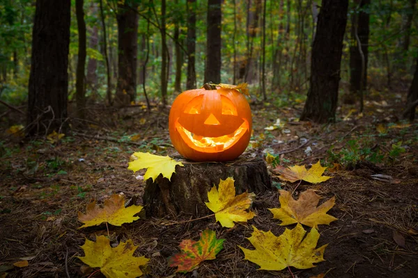 Halloween pumpkin glowing in the dark — Stock Photo, Image