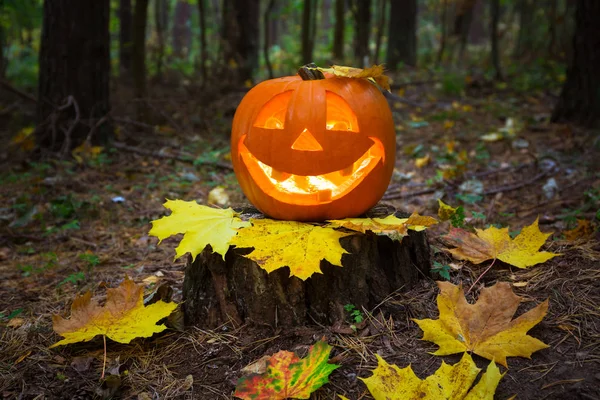 Calabaza de Halloween brillando en la oscuridad — Foto de Stock