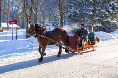 Karlı Zakopane şehir at arabası