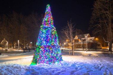 Zakopane park güzel Noel ağacı