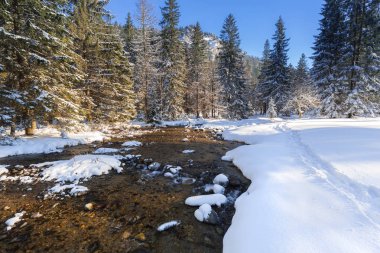 Karlı kış, Polonya Tatra Dağları