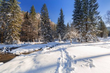 Karlı kış, Polonya Tatra Dağları