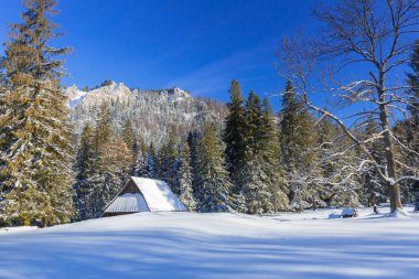 Karlı kış, Polonya Tatra Dağları