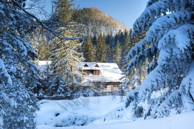 Karlı kış, Polonya Tatra Dağları
