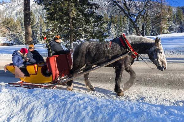 Hevoskärryt luminen Zakopane kaupunki — kuvapankkivalokuva