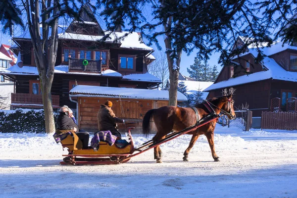Άλογο καλάθι βόλτα στο χιονισμένο Ζακοπάνε — Φωτογραφία Αρχείου